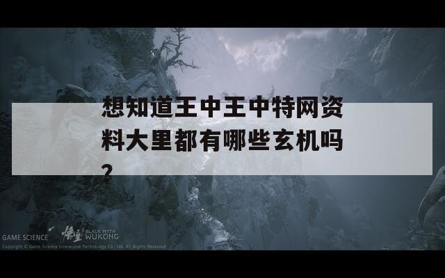 想知道王中王中特网资料大里都有哪些玄机吗？