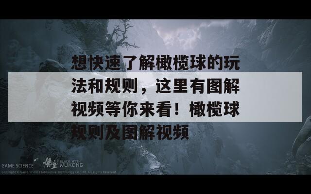 想快速了解橄榄球的玩法和规则，这里有图解视频等你来看！橄榄球规则及图解视频