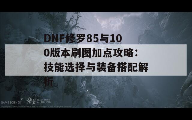 DNF修罗85与100版本刷图加点攻略：技能选择与装备搭配解析