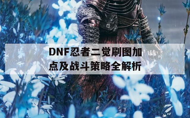 DNF忍者二觉刷图加点及战斗策略全解析