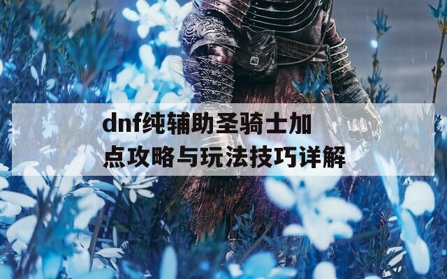 dnf纯辅助圣骑士加点攻略与玩法技巧详解