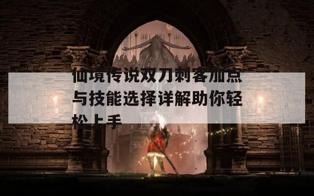 仙境传说双刀刺客加点与技能选择详解助你轻松上手