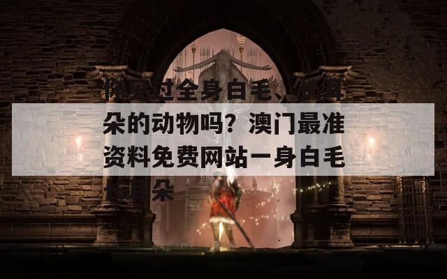 你见过全身白毛、长耳朵的动物吗？澳门最准资料免费网站一身白毛长耳朵