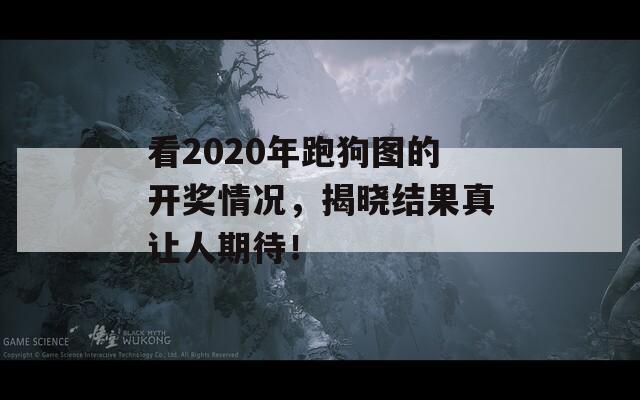 看2020年跑狗图的开奖情况，揭晓结果真让人期待！