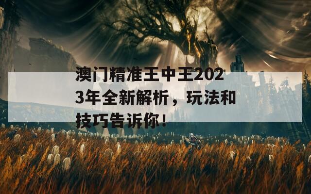 澳门精准王中王2023年全新解析，玩法和技巧告诉你！