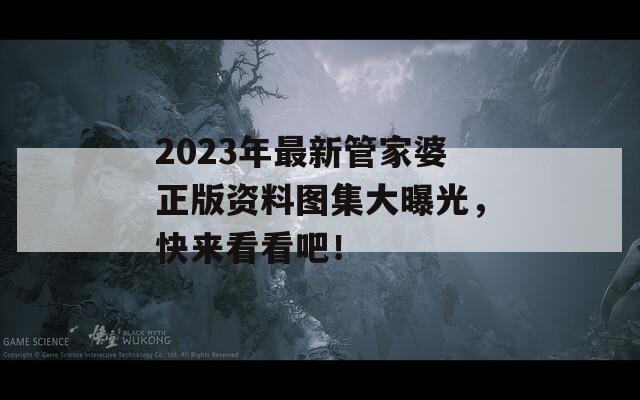 2023年最新管家婆正版资料图集大曝光，快来看看吧！